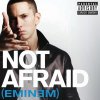http://s.mxmcdn.net/images-storage/albums/9/2/2/1/3/6/26631229.jpg