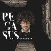 Pegasus - Album Skyline