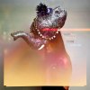 http://s.mxmcdn.net/images-storage/albums/9/2/7/6/4/9/13946729.jpg