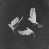 Pusha T - Album Untouchable