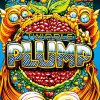 Twiddle - Album Plump Chapter 1