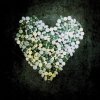 http://s.mxmcdn.net/images-storage/albums/9/3/9/7/9/6/31697939.jpg