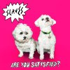 Slaves - Album Are You Satisfied?