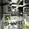 Shanti Matkin - Album Disfunction