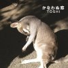 Toshi - Album kanawanukoi