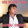 Sandu Ciorba - Album King of Gipsy Music