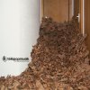 http://s.mxmcdn.net/images-storage/albums/9/7/7/4/6/9/26964779.jpg