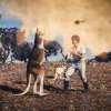 Methyl Ethel - Album Twilight Driving