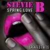 Stevie B - Album Spring Love - All Time Greatest Hits