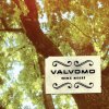 Valvomo - Album Mikä kesä?