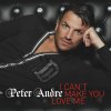 Peter Andre - Album I Can't Make You Love Me