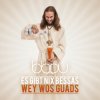 BBou - Album Es gibt nix Bessas wey wos Guads!
