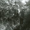 http://s.mxmcdn.net/images-storage/albums3/0/0/7/1/1/8/30811700.jpg