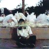 http://s.mxmcdn.net/images-storage/albums3/0/5/3/5/8/7/30785350.jpg