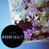Plini - Album Moonflower