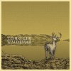 Torgeir Waldemar - Album Torgeir Waldemar