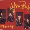 4 Non Blondes - Album What's Up?