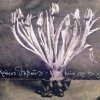 Χρήστος Θηβαίος - Album Μόνο νερό στη ρίζα