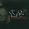 David Usher - Album Black Black Heart