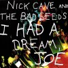 Nick Cave & The Bad Seeds - Album I Had a Dream, Joe