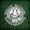 Bonez MC & Raf Camora - Album Palmen aus Plastik - Winteredition (Tannen aus Plastik)