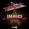 Images - Album In and Out of Love