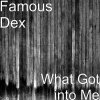 Famous Dex - Album What Got into Me