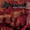 Steen1 - Album Salaliittoteoria