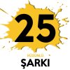 Album 25 Hüzünlü Şarkı