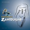 Fanicko - Album Zankounana