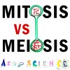 AsapSCIENCE - Album Mitosis vs Meiosis Rap Battle