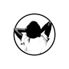 NEL - Album Happy Sad