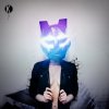 Black Tiger Sex Machine - Album Rhythm Mode