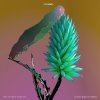 Flume feat. Tove Lo - Album Say It [Clean Bandit Remix]