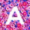 Nopsajalka - Album Armada - EP