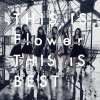 Flower - Album THIS IS Flower THIS IS BEST