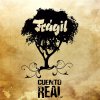 Fragil - Album Cuento Real