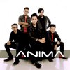 Anima - Album Ini Setiaku