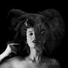 Lila Rose - Album We.Animals.