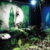 http://s.mxmcdn.net/images-storage/albums4/0/9/1/4/8/8/30884190.jpg