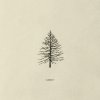 LARCH - Album Larch