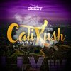 De La Ghetto - Album Cali Kush
