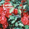 Sløtface - Album Empire Records