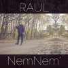 Raul - Album Nemnem