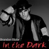 Brandon Bizior - Album In the Dark