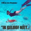 Ellen ten Damme - Album Ik geloof niet (dat ik ergens spijt van heb) [Single Edit]