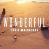 Chris Malinchak - Album Wonderful