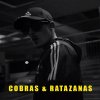 Holly Hood - Album Cobras & Ratazanas