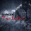 Sarkodie - Album Take It Back