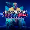 J Alvarez - Album Despierta Bien